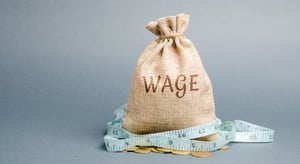 Nonprofit executive compensation