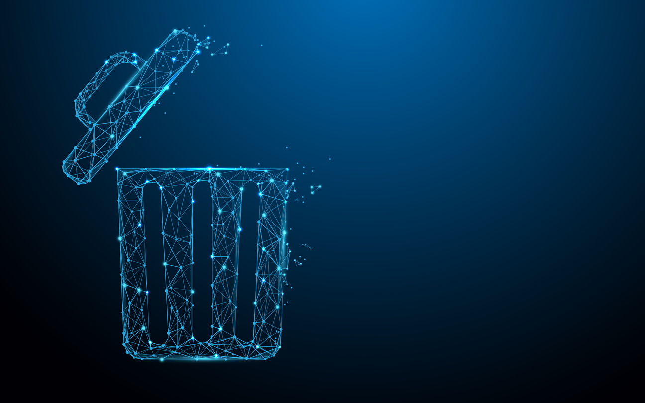 Understanding the Privacy Right to Be Forgotten